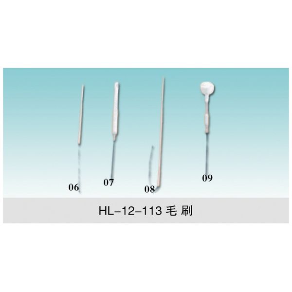 HL-12-113 实验室专用毛刷